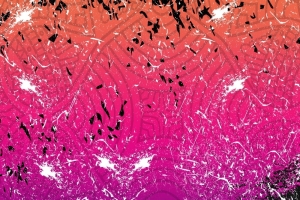 GidonBir Buff 26 - 25TL